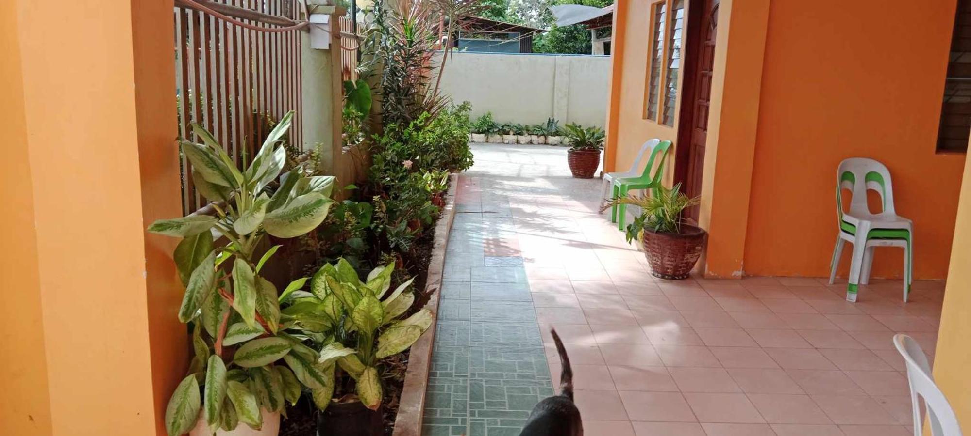 Jessa'S 5 Guests House Hotel Moalboal Ngoại thất bức ảnh
